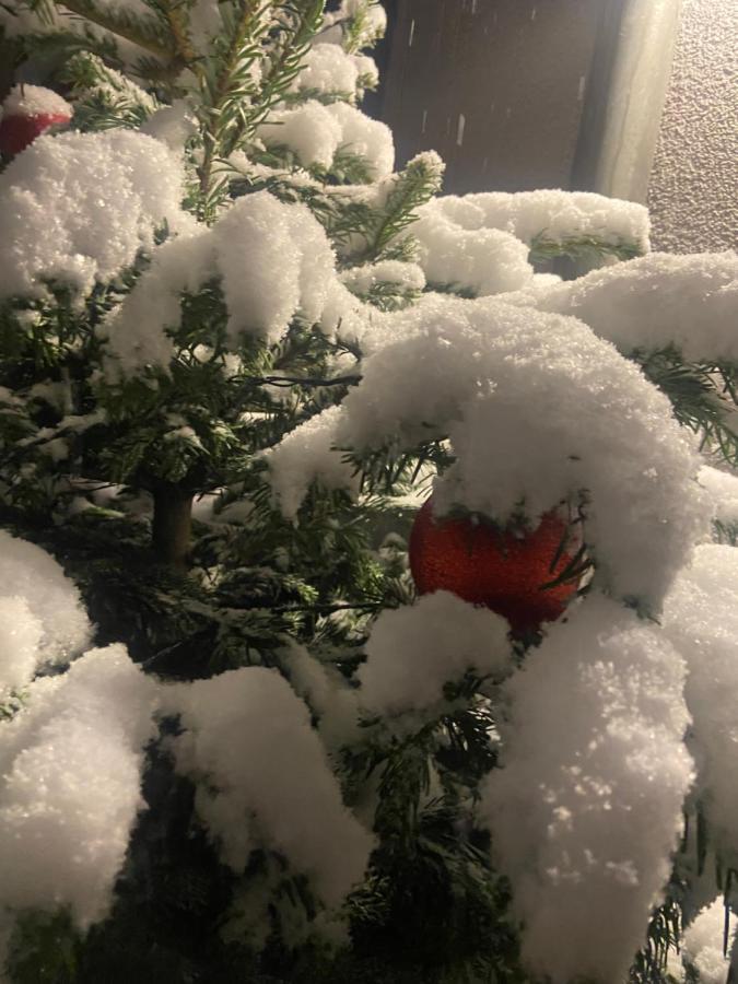 Ferienwohnungen In Erfurt Kültér fotó