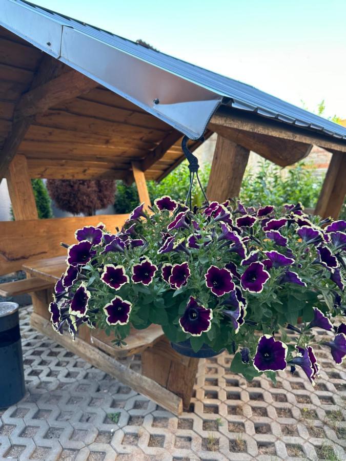Ferienwohnungen In Erfurt Kültér fotó